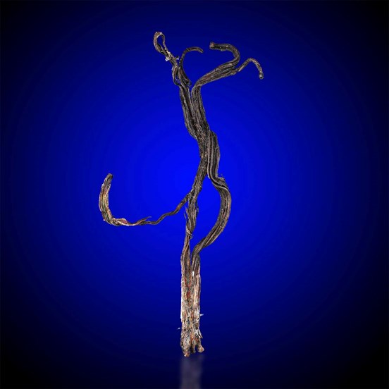 Silver-Himmelsfürst Mine |  Himmelsfürst Mine | Brand-Erbisdorf | Freiberg | Saxony | Germany