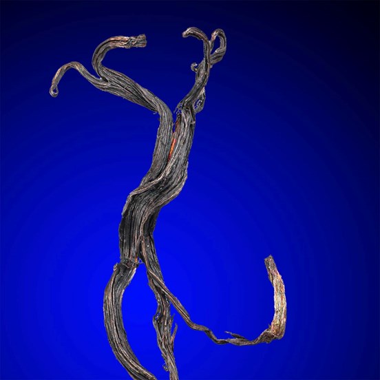 Silver-Himmelsfürst Mine |  Himmelsfürst Mine | Brand-Erbisdorf | Freiberg | Saxony | Germany