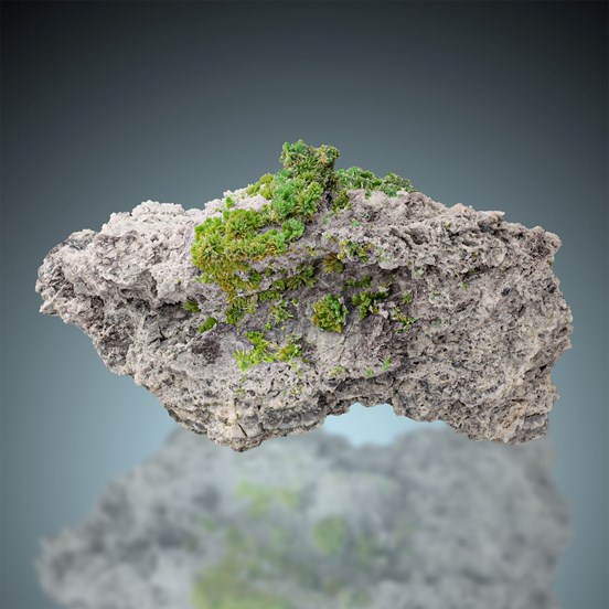 Pyromorphite-St. Salvy | Castres | Tarn | Occitanie | France