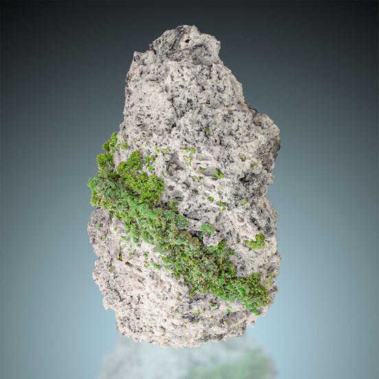 Pyromorphite-St. Salvy | Castres | Tarn | Occitanie | France