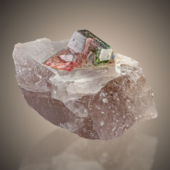 Elbaite -Cruzeiro Mine | São José da Safira | Minas Gerais | Brazil