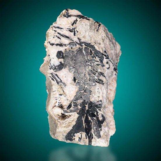 Nagyagite-Sacarîmb | Nagyág |  Deva | Alba Co. | Hunedora | Transylvania | Romania