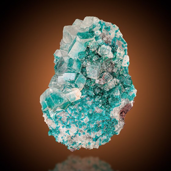 Dioptase-Tsumeb Mine | Tsumeb | Otjikoto Region | Namibia