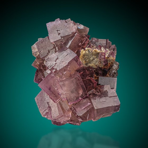 Fluorite-Bergheim | Ribeauvillé | Sélestat | Alsace | Grand Est | France