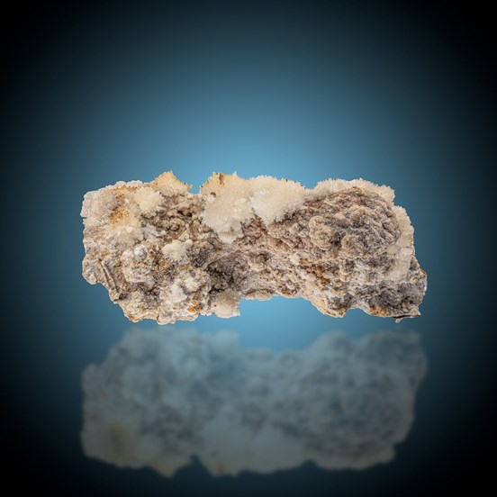 Aragonite-Epple Quarry | Mundelsheim | Ludwigsburg | Baden-Württemberg | Germany