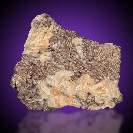 Nickeline-Eisleben | Mansfeld | Harz | Saxony-Anhalt | Germany