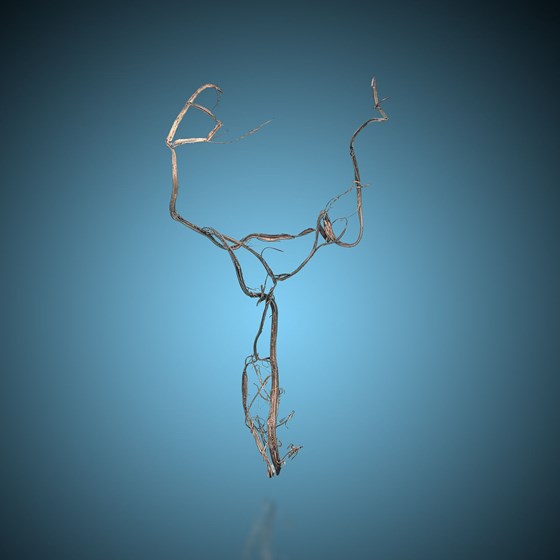 Silver- Himmelsfürst Mine | Brand-Erbisdorf | Freiberg | Saxony | Germany