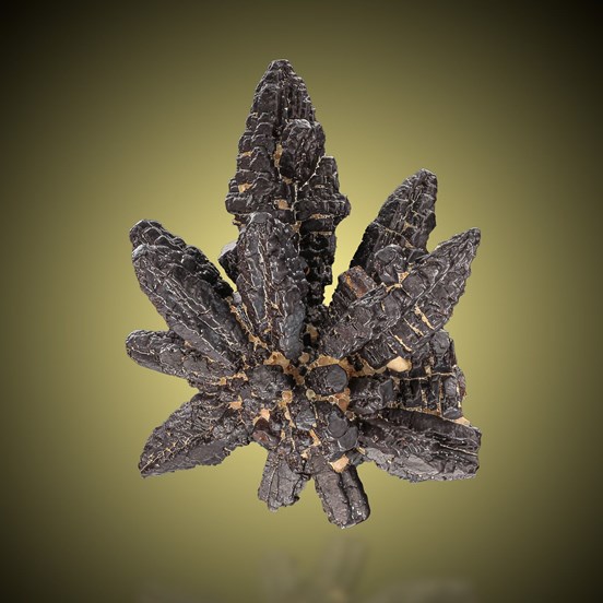 Goethite-White Desert | Farafra Oasis | New Valley Governorate | Egypt