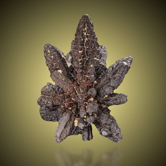 Goethite-White Desert | Farafra Oasis | New Valley Governorate | Egypt