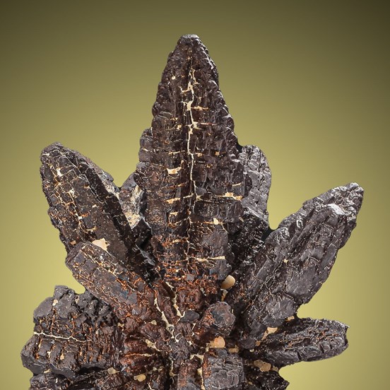 Goethite-White Desert | Farafra Oasis | New Valley Governorate | Egypt