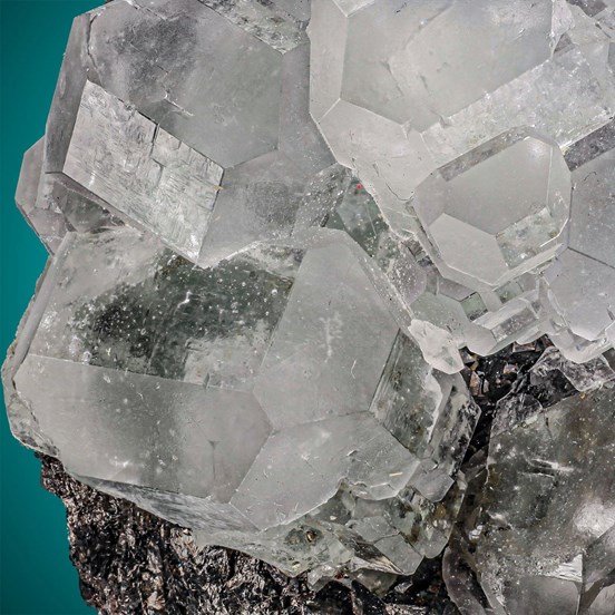 Fluorite-Naica | Mun. de Saucillo | Chihuahua | Mexico