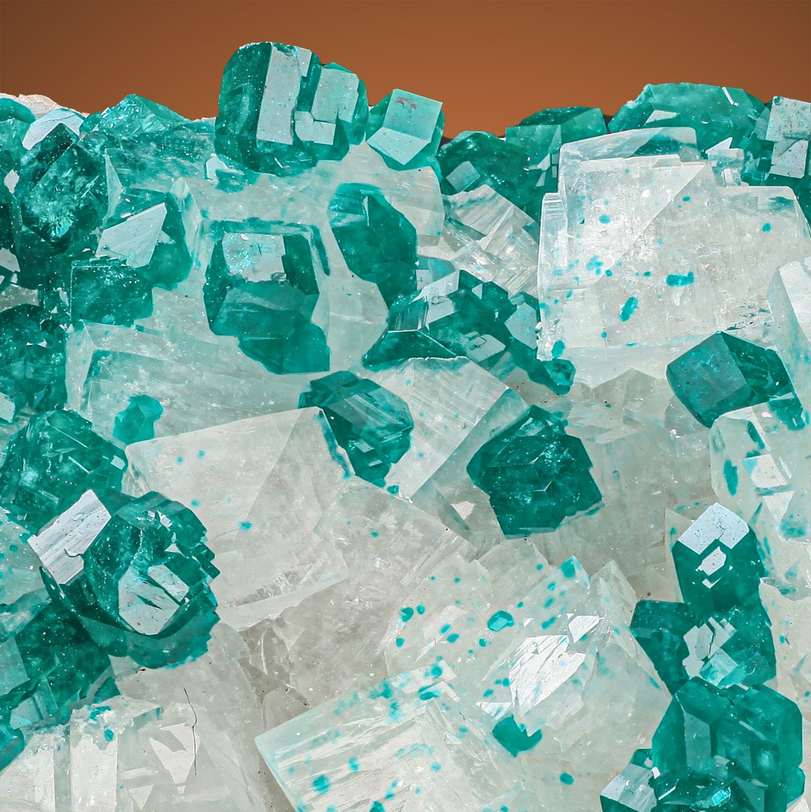 Wendel Minerals Item 6584 Dioptase Tsumeb Mine Tsumcorp Mine wendel-minerals-item-6584-dioptase-tsumeb-mine-tsumcorp-mine