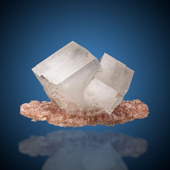 Halite-Neuhof-Ellers | Neuhof | Fulda | Kassel Region | Hesse | Germany