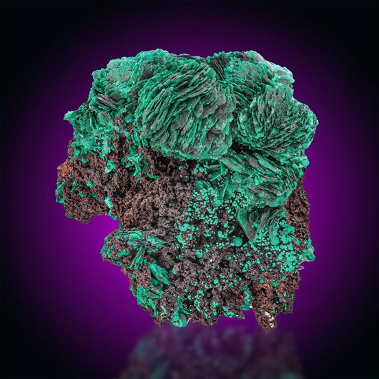 Malachite-Seabra | Bahia | Brazil