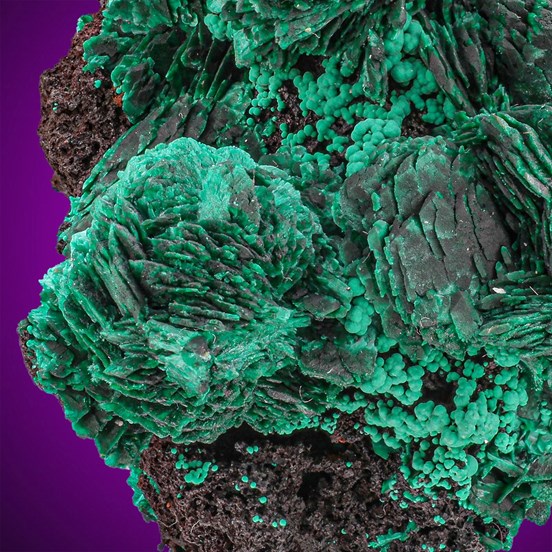 Malachite-Seabra | Bahia | Brazil