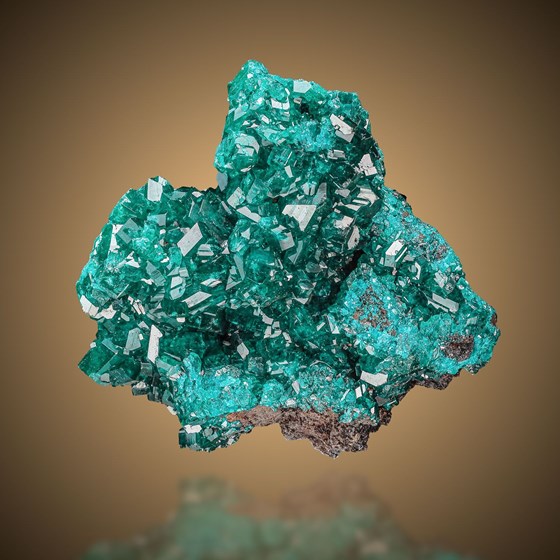 Dioptase-Renéville | Kindanba District | Brazzaville | Republic of the Congo