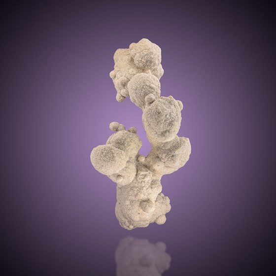 Calcite-Harleville | Bailleau-Armenonville | Chartres | Eure-et-Loir | Centre-Val de Loire | France