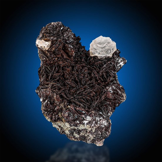 Fluorite-Valle Giove | Rio Marina | Elba | Livorno Prov. | Tuscany | Italy