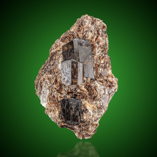 Dravite-Pajaru | Chhedagad | Jajarkot District | P6 Karnali Pradesh | Nepal