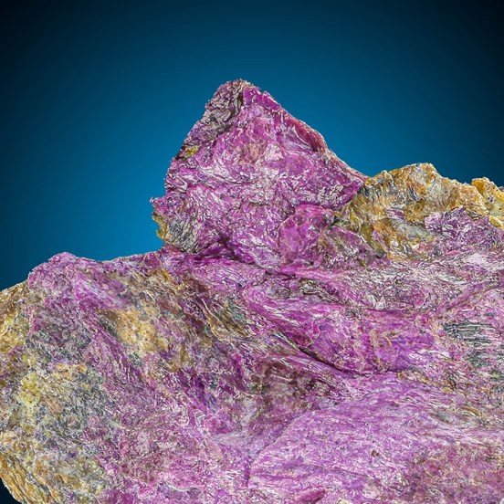 Stichtite- Bou Azzer | Quarzazate | Drâa-Tafilalet Region | Morocco