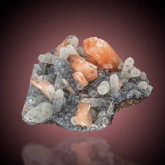 Stellerite- Nashik Division | Maharashtra | India