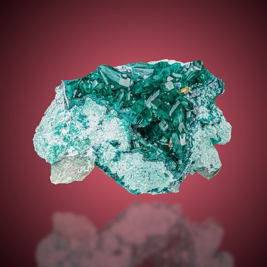 Dioptase-Omaue | Kaokoveld | Kunene Region | Namibia