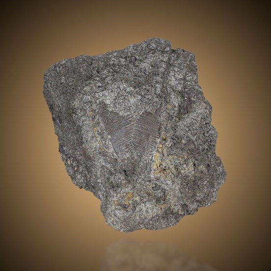 Rammelsbergite-Měděnec near Jachymov | Krušné Hory | Karlovy Vary Region |  Czech Republic