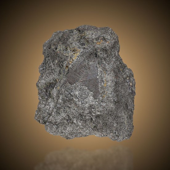 Rammelsbergite-Měděnec near Jachymov | Krušné Hory | Karlovy Vary Region |  Czech Republic