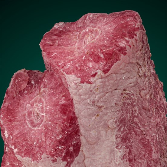 Rhodochrosite-Capillitas  | Andalgalá Department | Catamarca Province | Argentina