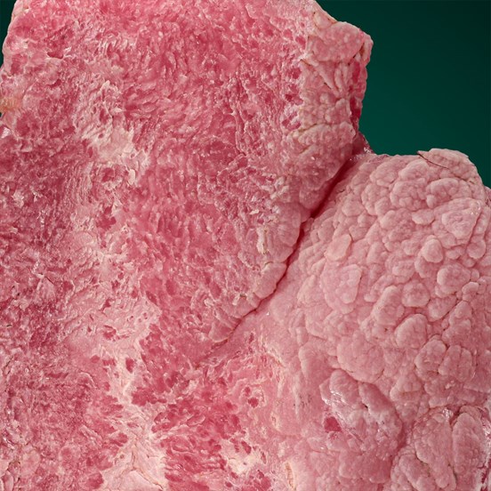 Rhodochrosite-Capillitas  | Andalgalá Department | Catamarca Province | Argentina