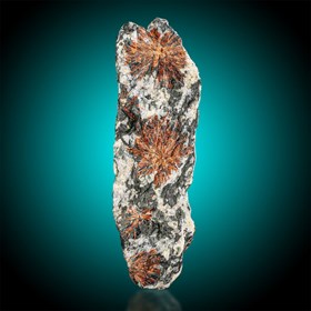 Normandite-Mount Partomchorr | Khibiny Massif | Murmansk Oblast | Ru$$ia